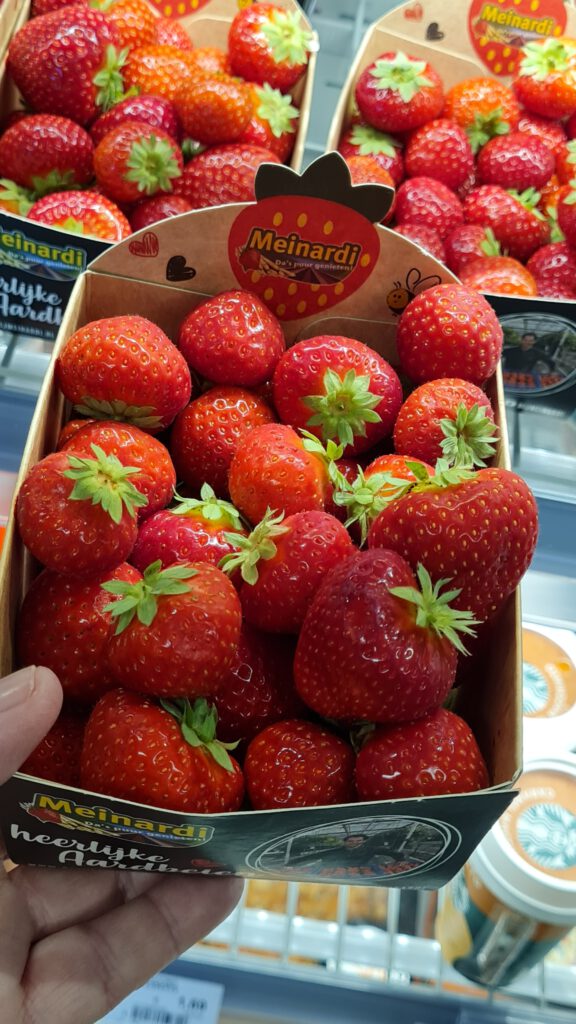 2022-07-05 Gea Kramer Groningen Sauwerd Meinardi aardbeien