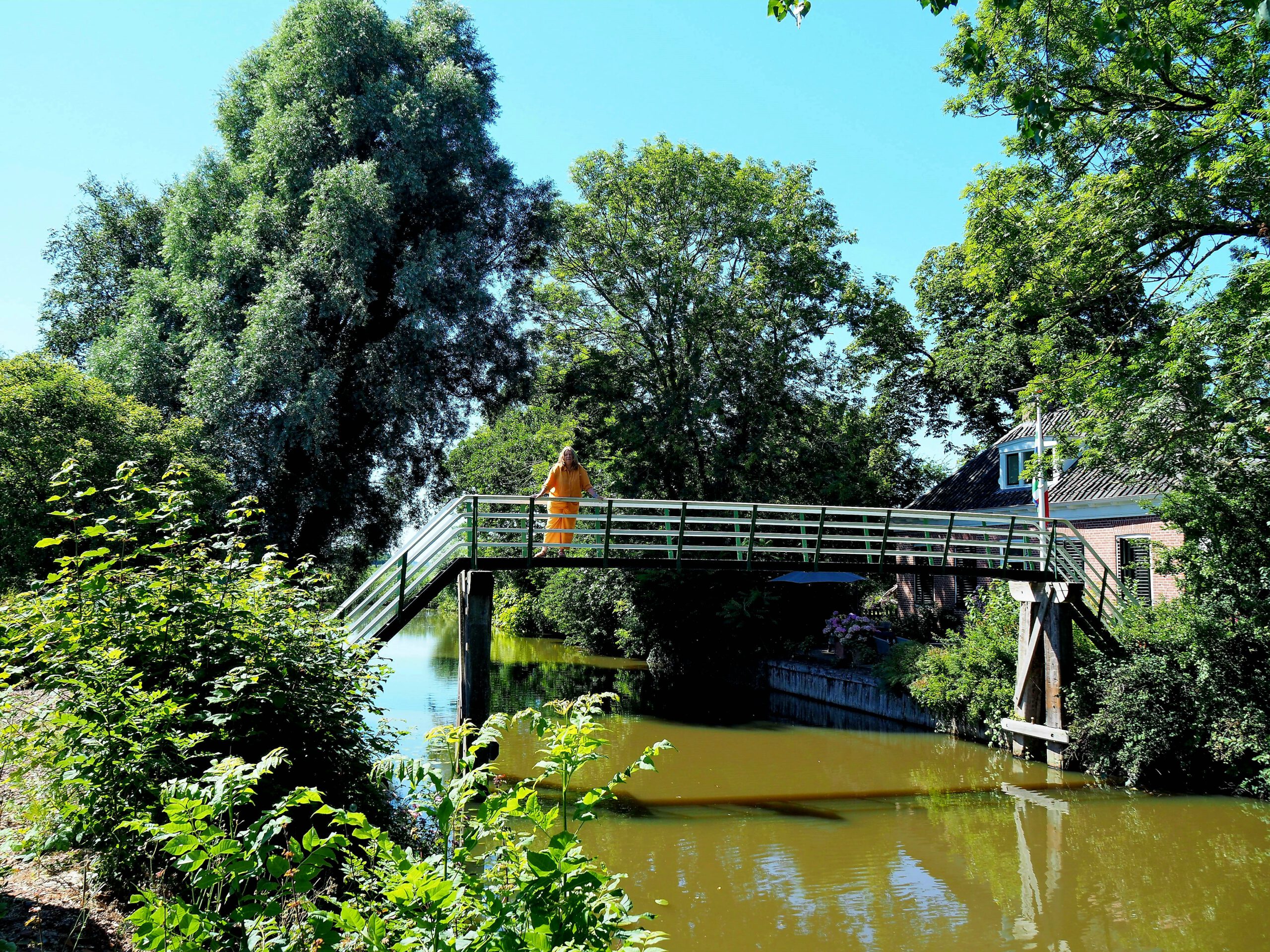 2022-08-11 Gea Kramer Groningen Menkeweersterhoogholtje Warffumerweg Onderdendam 12u36