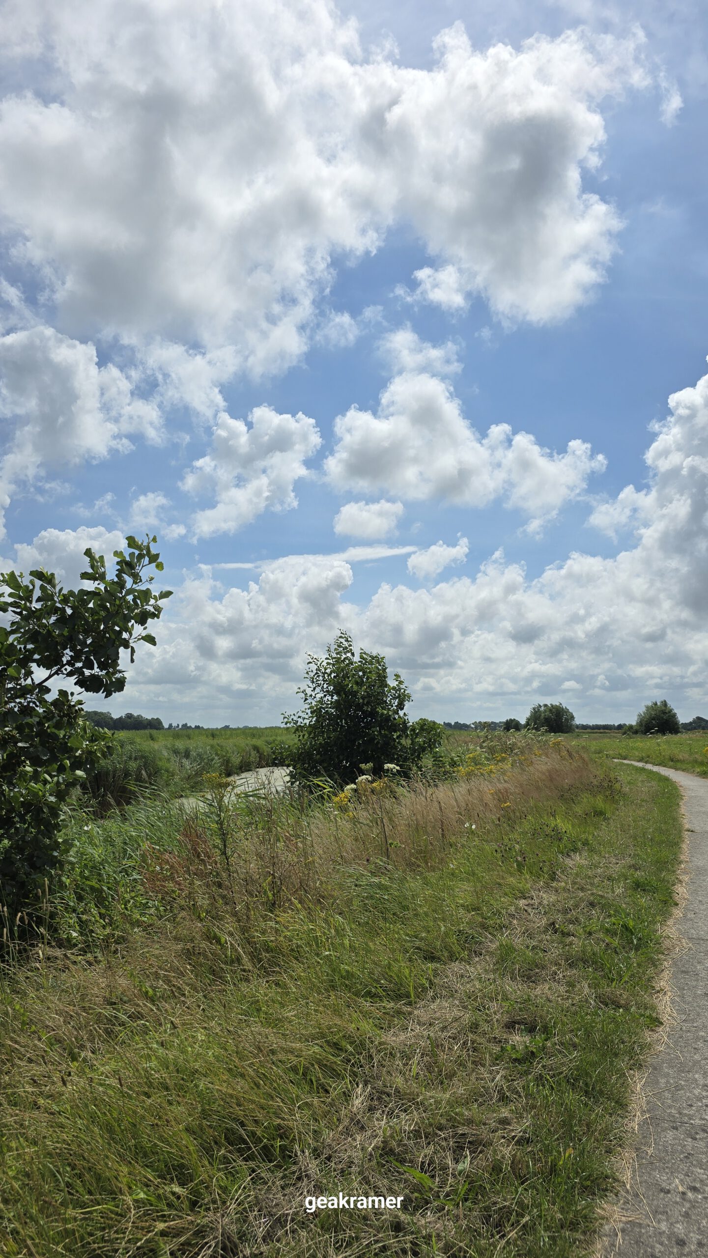 Gea-kramer-groningen-pieterbuurstermaar-