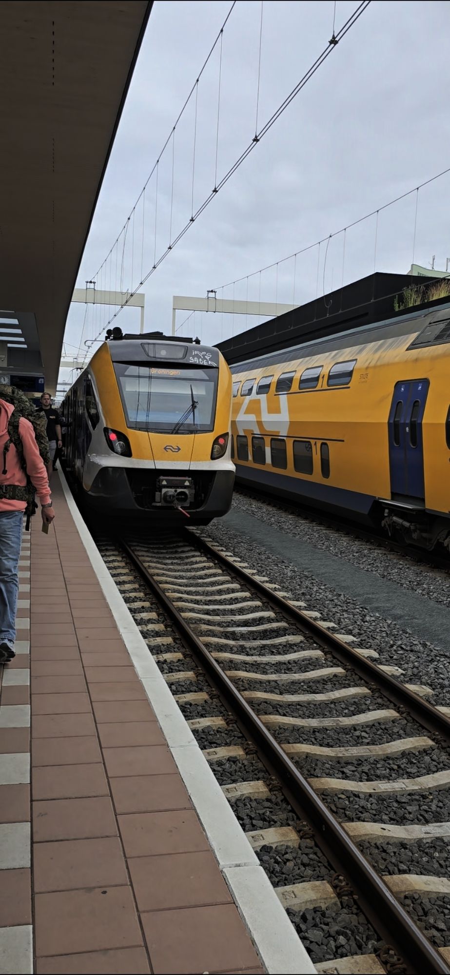 2026-06-17 gea kramer groningen zwolle wesp3120170284904121327.