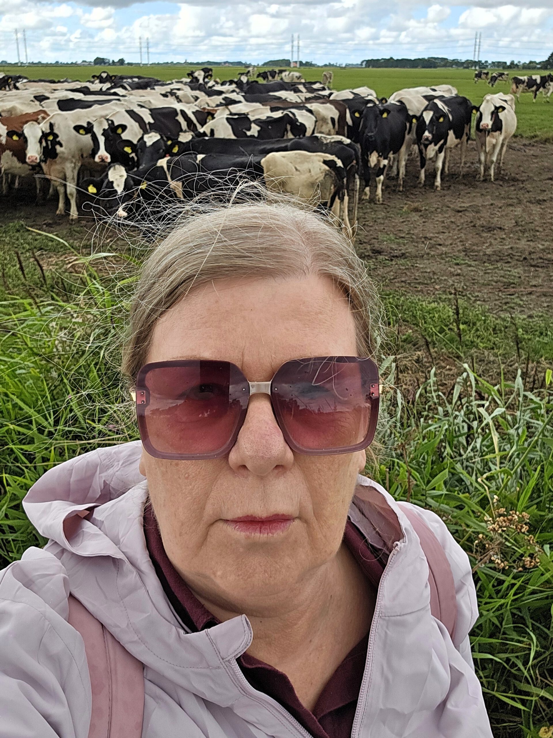 Gea Kramer bij koeien in het Reitdiepgebied bij Sauwerd, Groningen