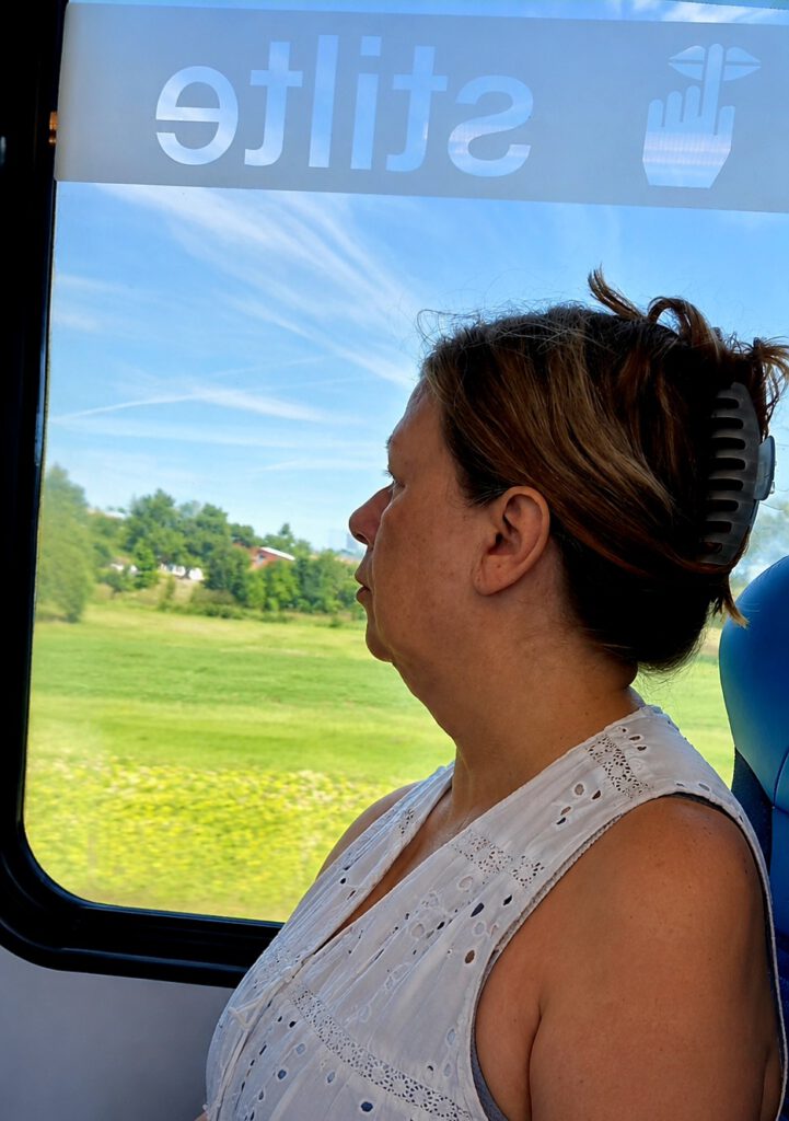 Gea Kramer kijkt uit het raam in de stiltecoupe van de trein naar Sauwerd